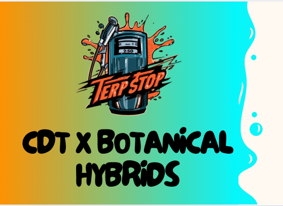 CDT x BDT's